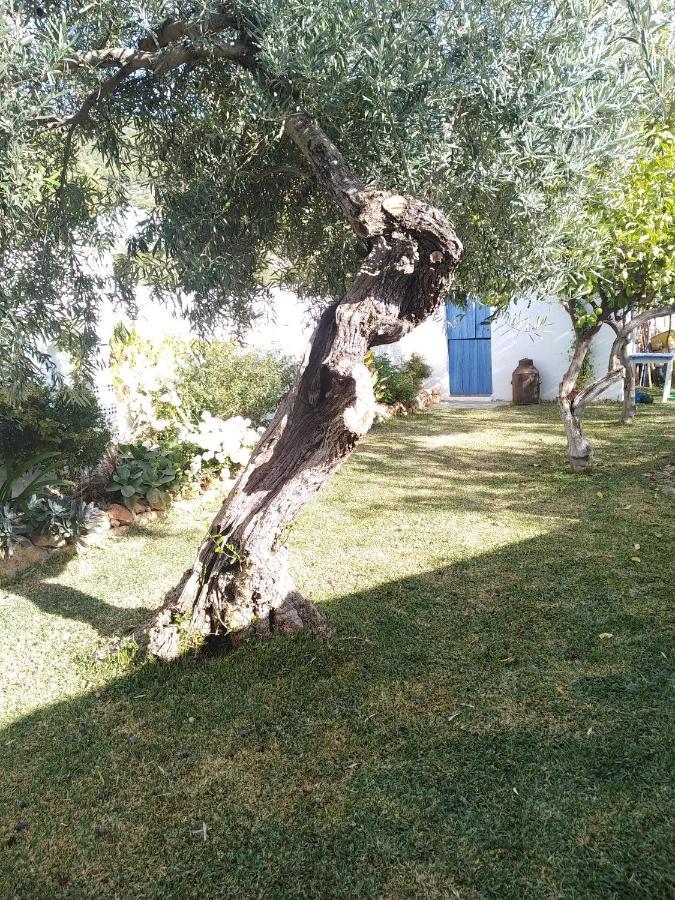 Villa Pitillas Algodonales Buitenkant foto